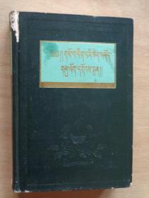 藏医辞典（藏文）