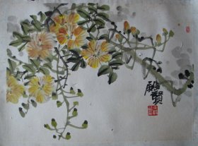 杭州—来殿贤凌霄花