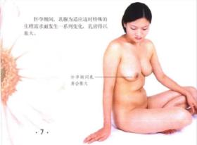 《乳房保健按摩彩色图谱》王青2002福建科技64开227页：本书以彩色图谱与文字对照的形式介绍认识乳房、乳房自我保健、乳房疾病防治三部分内容，主要涉及如何用按摩的方式达到乳房的保健以及对乳房常见疾病的防治等等。首先介绍了乳房的位置，接着介绍了乳房的形态、乳房的结构、乳房的发育、青春期乳房保健、妊娠其乳房保健……。图片高度清晰鲜艳，内容丰富多彩，实用性强，对丰乳和促进乳房发育值得学习。