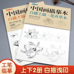 中国画描摹本工笔画上下2册/基础训练篇+强化提高篇 花卉草木鸟