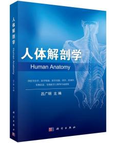 人体解剖学吕广明