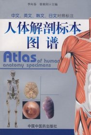 人体解剖标本图谱