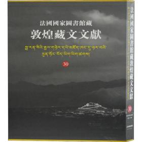 法   图书馆藏敦煌藏文文献 30