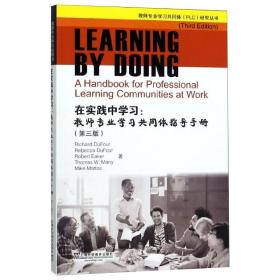 在实践中学习:教师专业学  同体指导手册(D3版)