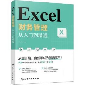 正版新书现货 Excel财务管理(从入门到精通) 谭中阳