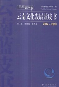 全新正版现货  2012~2013云南文化发展蓝皮书 9787548215677