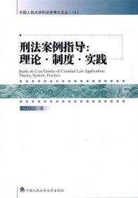 全新正版现货  刑法案例指导:理论·制度·实践:theory, system,