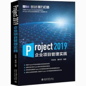 Project 19企业项目管理实践