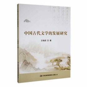 中国代文学的发展研究