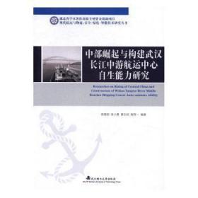 中部崛起与构建武汉长江中游航运中心自生能力研究