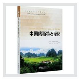 中国喀斯特石漠化/中国石漠化治理丛书