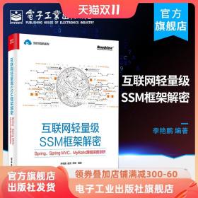互联网轻量级SSM框架解密 Spring Spring MVC MyBatis源码深度剖析 SSM开源Java web框架构开发设计教程书籍