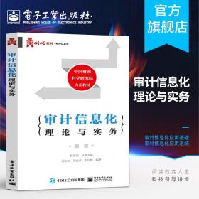 审计信息化理论与实务 中国财政科学研究院力荐教材 风险控制与审计 计算机审计IT审计技术专业教材书籍
