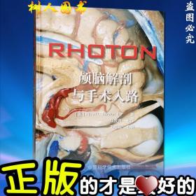 RHOTON颅脑解剖与手术入路(美)罗顿(Rhoton.A.L.).中国科学技术出版社颅脑解剖.神外手术入路临床外科影像解剖学图谱图解书籍