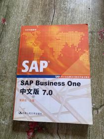 SAP Business One中文版7.0附光盘
