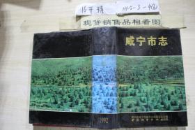 咸宁市志