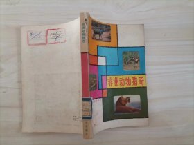 =318-5非洲动物猎奇
