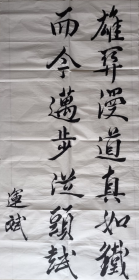 潘运斌书法6平尺 有款无章