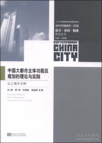 正版中国大都市主体功能区规划的理论与实践