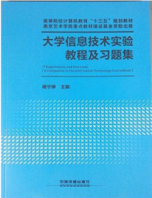 大学信息技术实验教程及习题集 专著 褚宁琳  中国铁道出版社有限公司