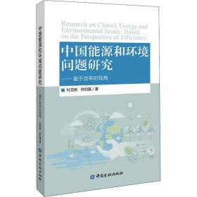 中国能源和环境问题研究——基于效率的视角
