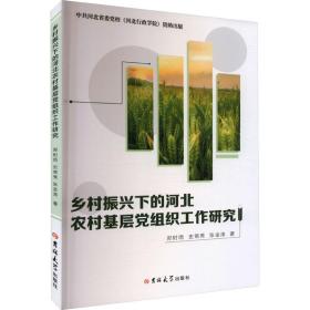 乡村振兴下的河北农村基层党组织工作研究 郑时雨,史常秀,张金涛 著 新华文轩网络书店 正版图书