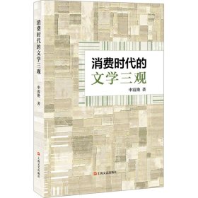 消费时代的文学三观 申霞艳 著 新华文轩网络书店 正版图书