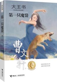 大王书 第一只魔袋