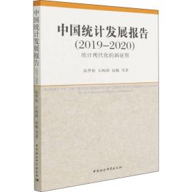 中国统计发展报告（2019-2020）——统计现代化的新征程