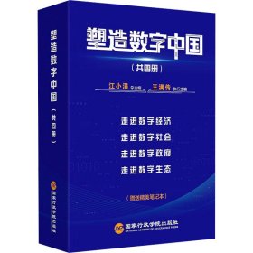 塑造数字中国（共4册）