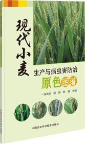 现代小麦生产与病虫害防治原色图谱