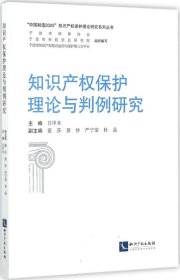 知识产权保护理论与判例研究