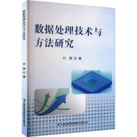 数据处理技术与方法研究 付雯 著 新华文轩网络书店 正版图书
