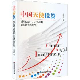 中国天使投资 创新驱动下的市场机制与政策体系研究 王佳妮 著 新华文轩网络书店 正版图书