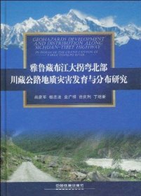 雅鲁藏布江大拐弯北部川藏公路地质灾害发育与分布研究