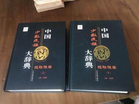 中国少数民族大辞典：拉祜族卷...全2册