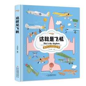 这就是飞机