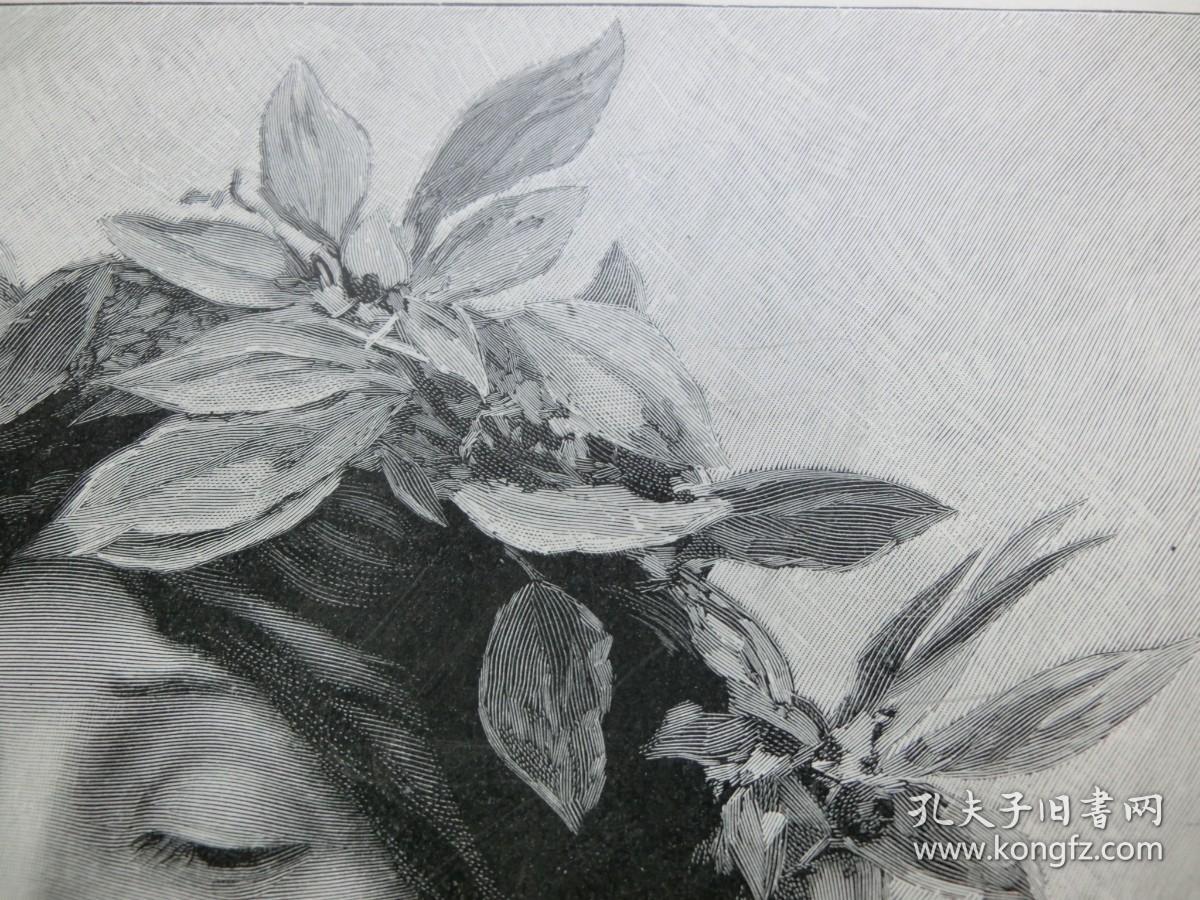 百元包邮1900年木刻版画月桂女神达芙妮纸张尺寸约408285厘米画幅尺寸