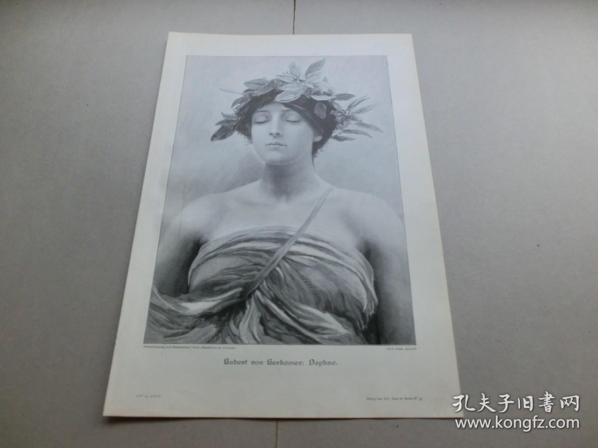 百元包邮1900年木刻版画月桂女神达芙妮纸张尺寸约408285厘米画幅尺寸