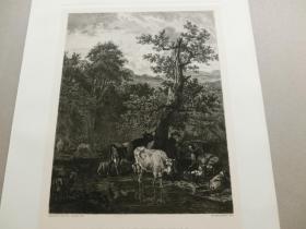【百元包邮】1889年铜版蚀刻版画《翠柏掩映下的湖畔牧场》（HEERDE IN SCHATTIGEM THALE）出自17世纪荷兰黄金时期动物和人物风景画家阿德里安·凡·德·维尔德（Adriaen van de Velde，1636-1672）的油画作品 雕刻师：Wilhelm Krauskopf（1847-？）  维也纳艺术画廊出品  纸张尺寸38.5*28.5厘米
