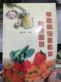 草莓病虫害防治彩色图说 /郝保春 中国农业出版社 9787109059481