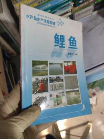 水产品生产流程图谱 鲤鱼 /夏艳洁 吉林出版集团有限责任公司 9787546313306