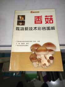 香菇栽培新技术彩色图解 /徐成生 广西科学技术出版社 9787806669570