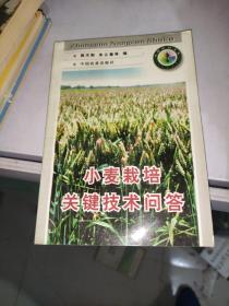 小麦栽培关键技术问答 /郭天财 中国农业出版社 9787109049338