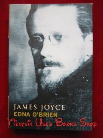 James Joyce（英语原版 精装本）詹姆斯·乔伊斯传