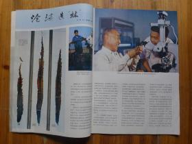 民族画报1982年第1期·科学家彭加木，所长吴超元，古格王朝文物，达式常，美术作品选