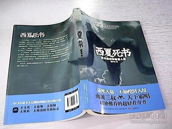 西夏死书9787547009635顾非鱼/ 万卷出版公司/ 2010-08/ 平装吉兔书院