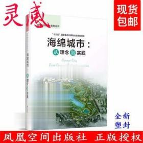 海绵城市 从理念到实践 卫超编 理论 理念技术案例规划设计 书籍