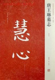 正版书籍 唐王琳墓志 薛海洋 陈辉　编 河南美术出版社
