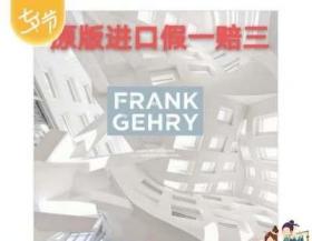 现货 Frank Gehry弗兰克盖里 普利兹克奖得主 英文原版建筑设计